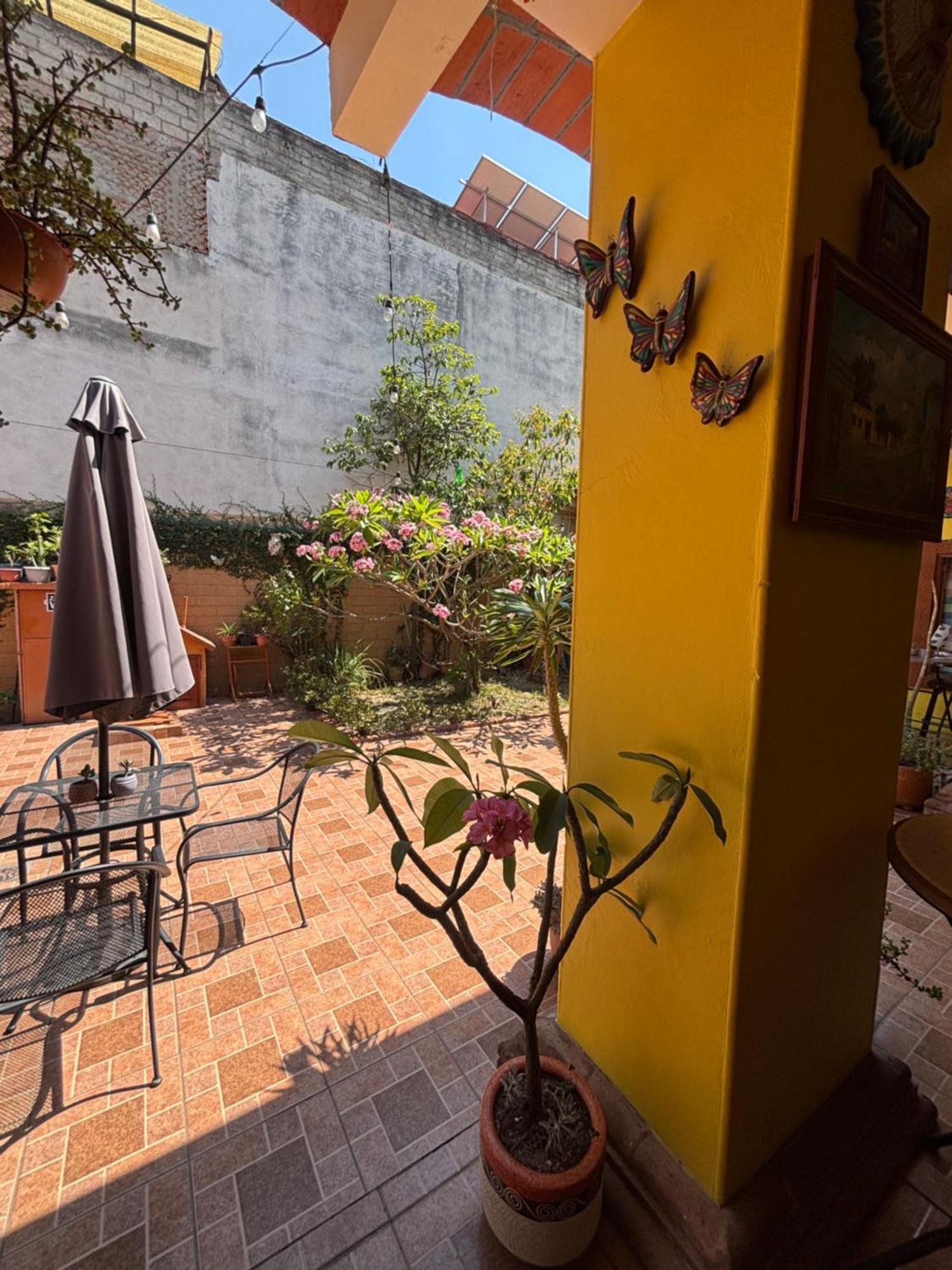 Hotel Posada "Mi Rosita" Oaxaca Exterior photo
